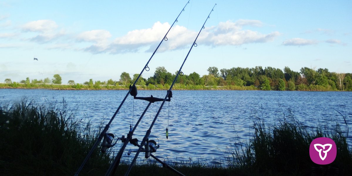 Ontario Announces New Enhancements to Carp Fishing - GTA Weekly