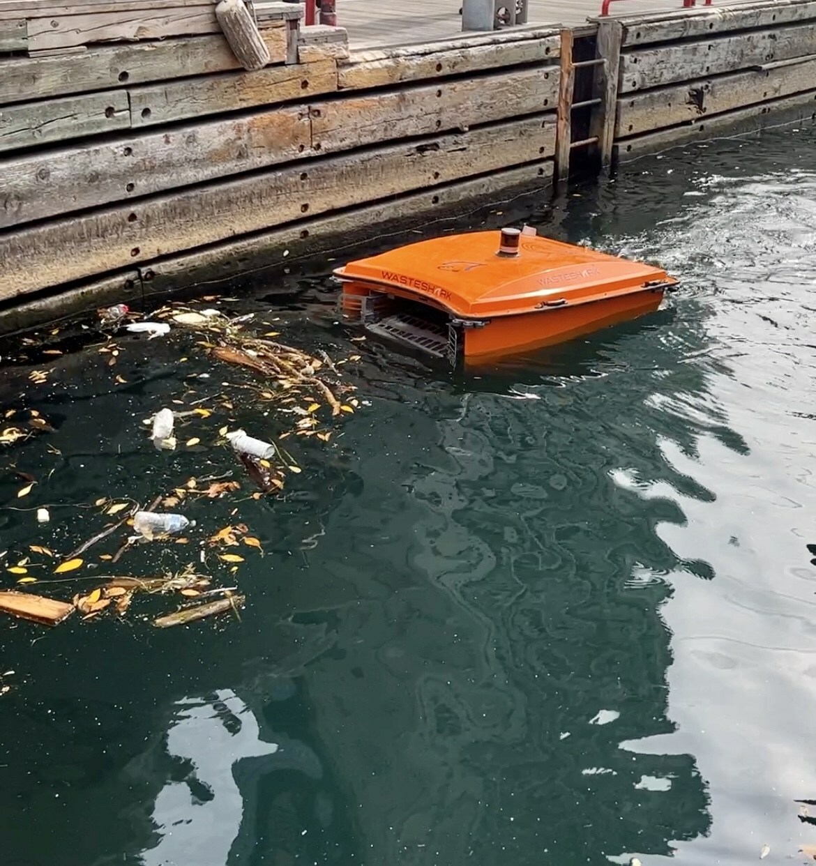 多伦多港口的垃圾捕捉设备清除了43公斤的塑料污染